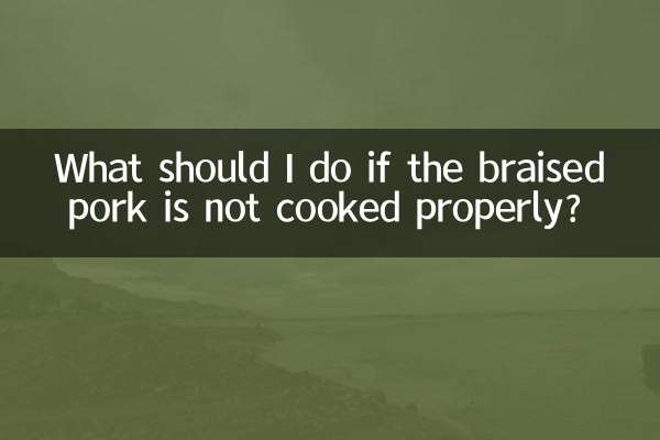 Cosa devo fare se il brasato di maiale non è cotto correttamente?