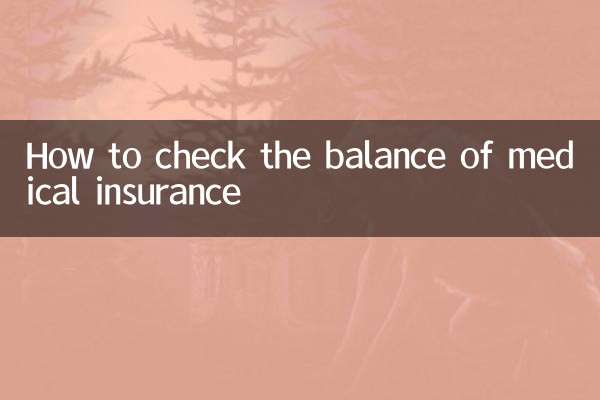 医療保険の残高を確認するには