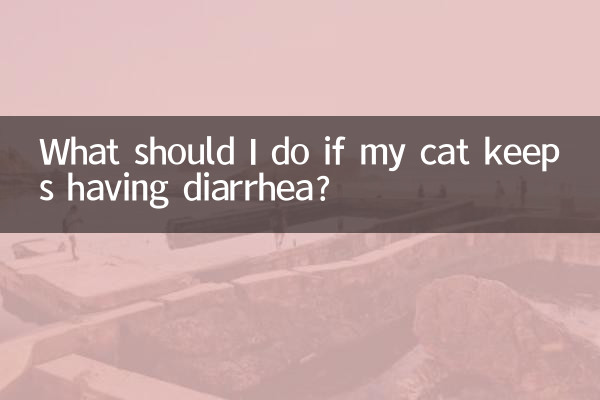 What should I do if my cat keeps having diarrhea?