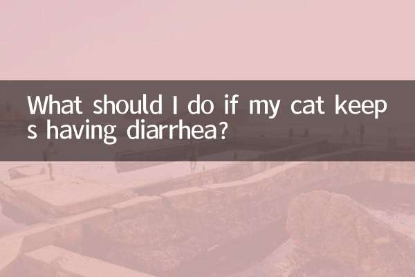 What should I do if my cat keeps having diarrhea?