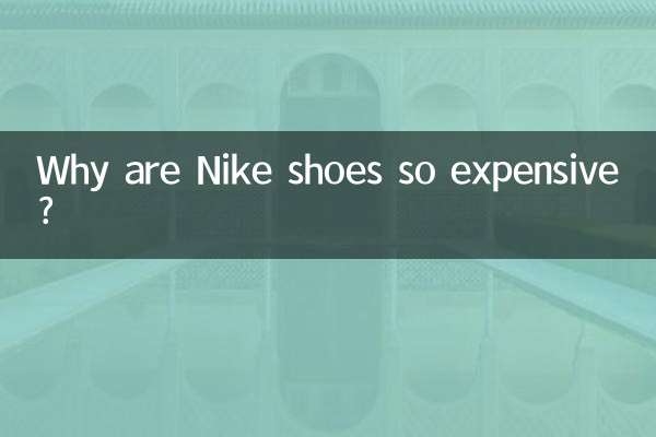 Why are Nike shoes so expensive?