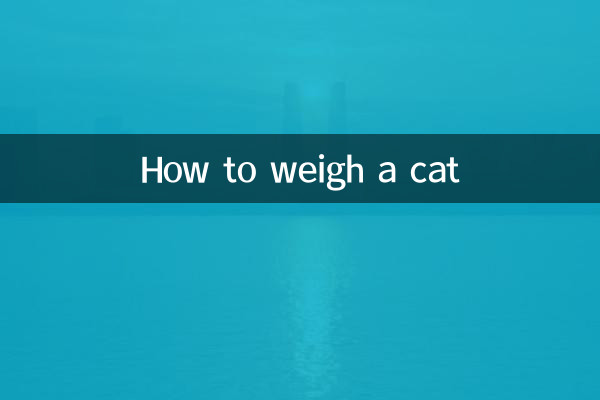 Comment peser un chat