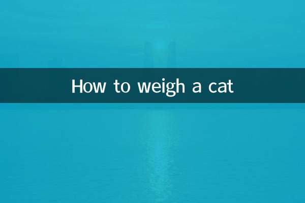 Cómo pesar a un gato