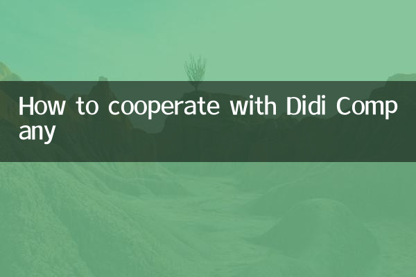 نحوه همکاری با شرکت دیدی