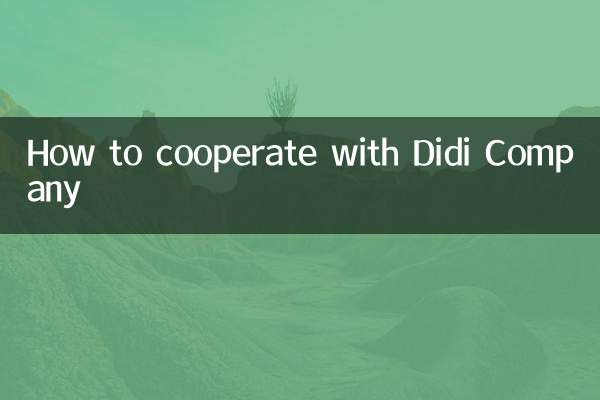 Didi Companyとの協力方法