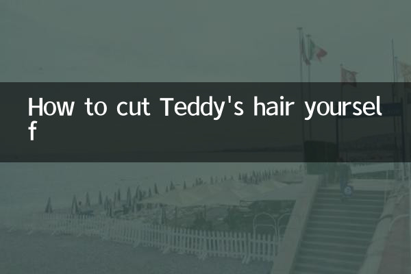 How to cut Teddy's hair yourself