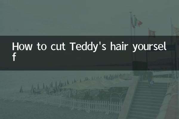 How to cut Teddy's hair yourself