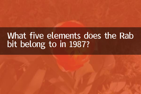 What five elements does the Rabbit belong to in 1987?