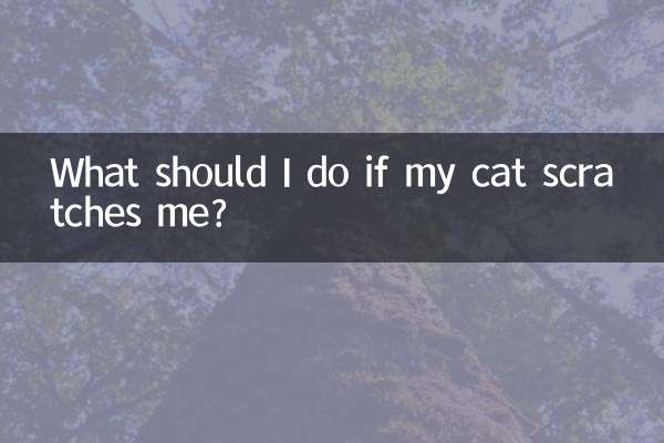 اگر گربه من را خراشید چه کار کنم؟