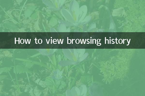 How to view browsing history
