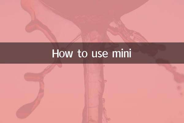 mini怎么用