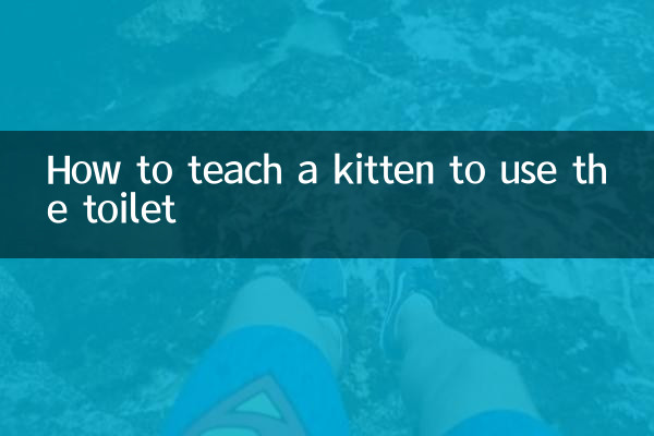 How to teach a kitten to use the toilet