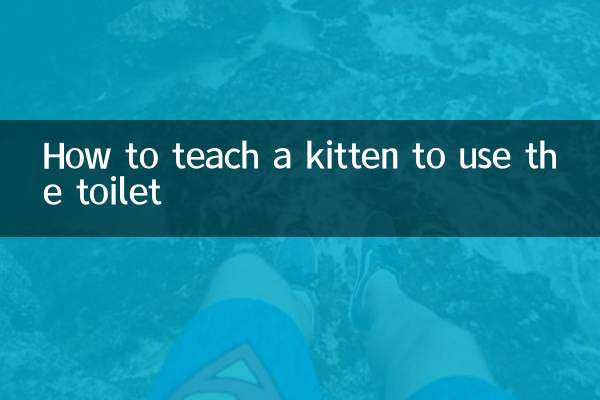 子猫にトイレを教える方法
