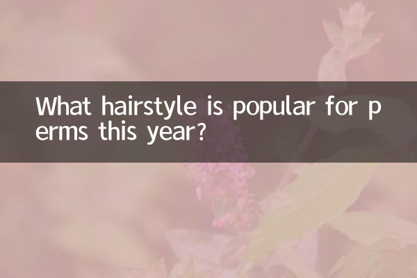 इस वर्ष पर्म के लिए कौन सा हेयरस्टाइल लोकप्रिय है?