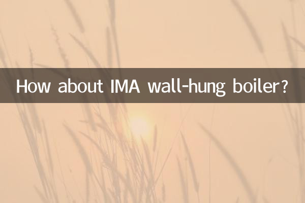 ماذا عن الغلاية المعلقة على الحائط IMA؟