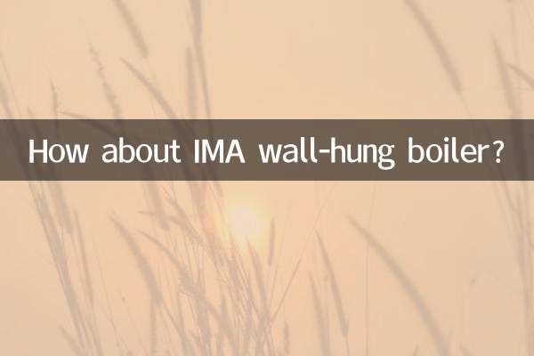 ماذا عن الغلاية المعلقة على الحائط IMA؟