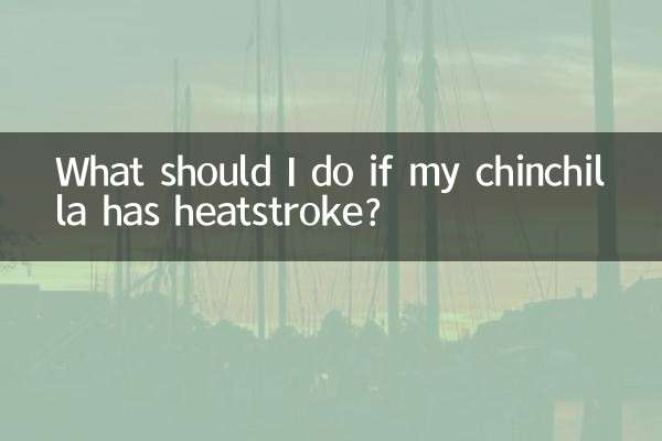 What should I do if my chinchilla has heatstroke?