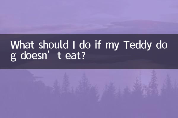 泰迪狗狗不吃东西怎么办