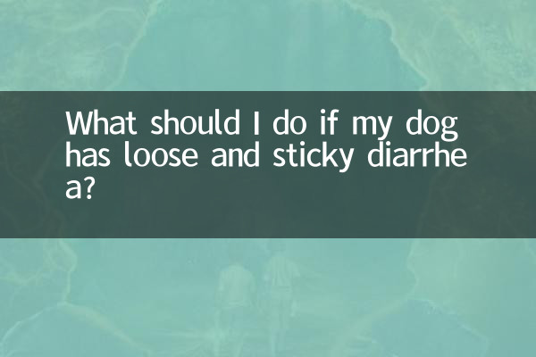 우리 강아지가 묽고 끈끈한 설사를 하면 어떻게 해야 하나요?