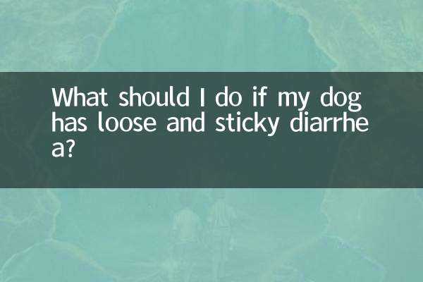 اگر میرے کتے کو ڈھیلا اور چپچپا اسہال ہو تو مجھے کیا کرنا چاہئے؟