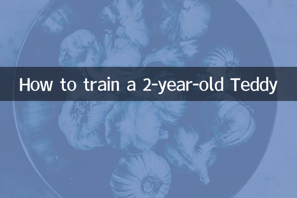 چگونه یک تدی 2 ساله را تربیت کنیم