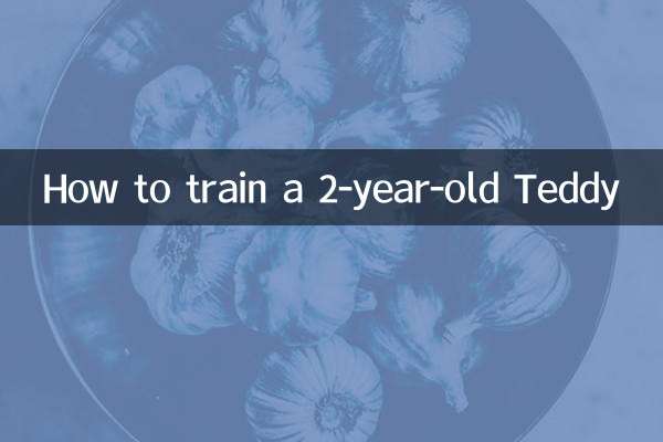 چگونه یک تدی 2 ساله را تربیت کنیم