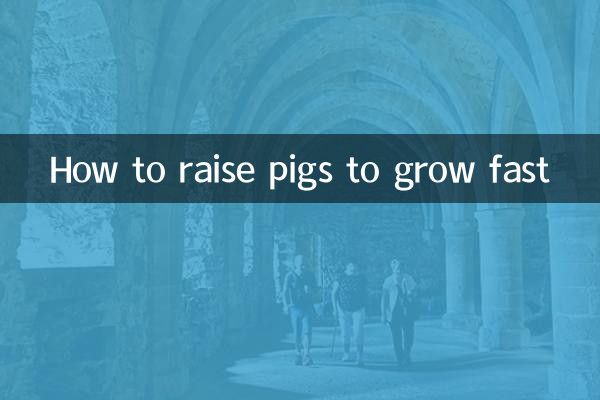 돼지를 빨리 키우는 방법