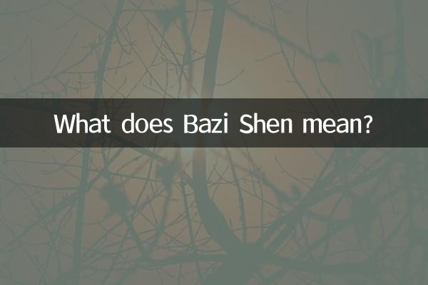 Bazi Shen은 무슨 뜻인가요?