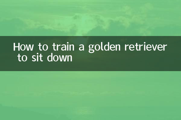 Como treinar um golden retriever para sentar