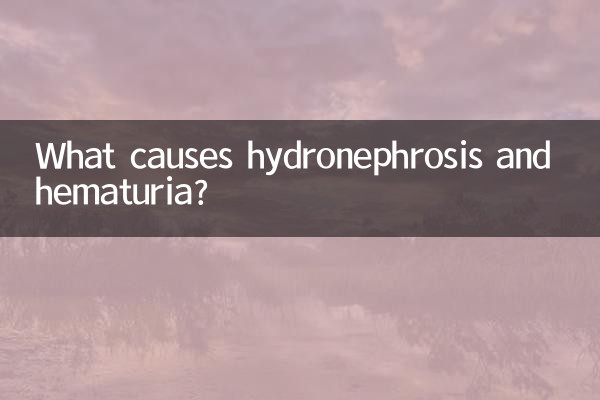 水腎症と血尿の原因は何ですか?
