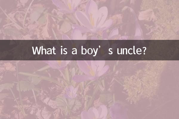 소년의 삼촌은 무엇입니까?