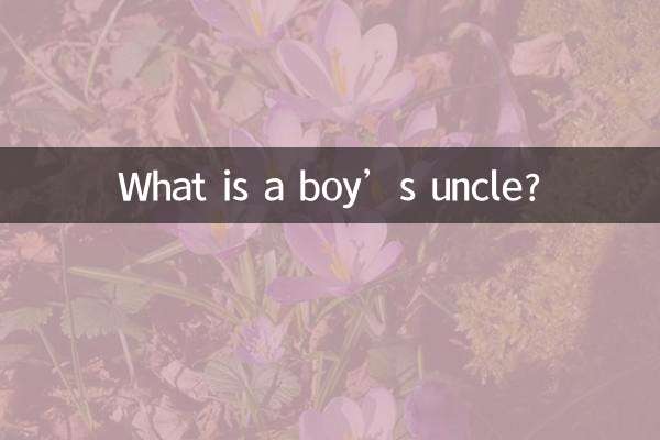 소년의 삼촌은 무엇입니까?