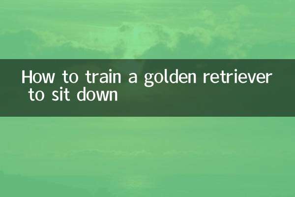 Como treinar um golden retriever para sentar