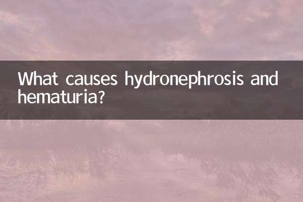水腎症と血尿の原因は何ですか?