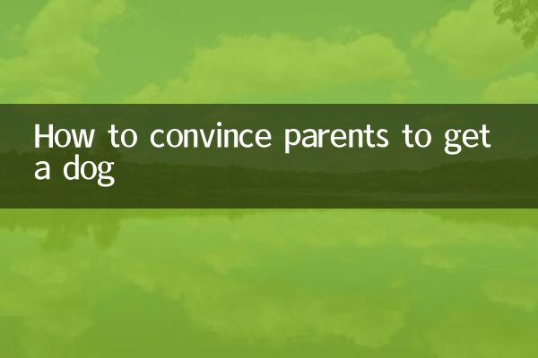 چگونه والدین را متقاعد کنیم که سگ بگیرند؟