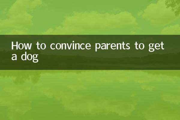چگونه والدین را متقاعد کنیم که سگ بگیرند؟