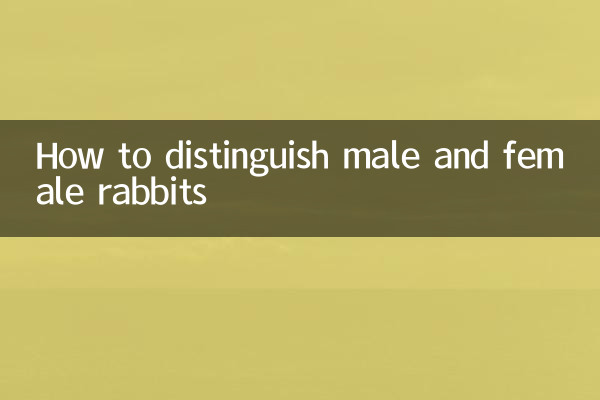 Come distinguere i conigli maschili e femminili