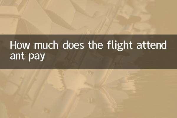 How much does the flight attendant pay