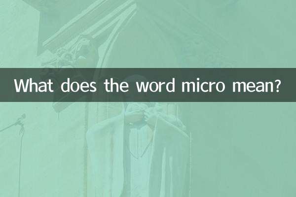 Was bedeutet das Wort Mikro?