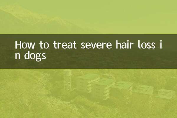 Como tratar a queda severa de cabelo em cães