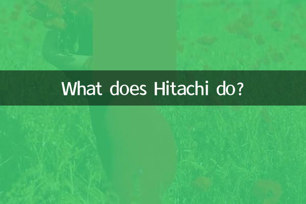 Que fait Hitachi ?