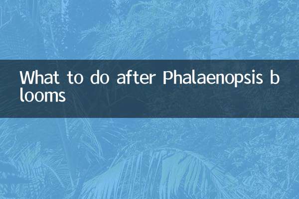 What to do after Phalaenopsis blooms
