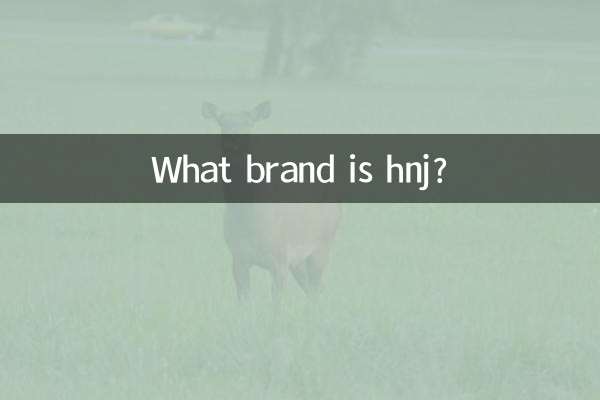 hnj是什麼牌子