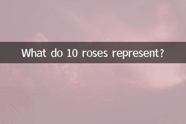 ¿Qué representan 10 rosas?