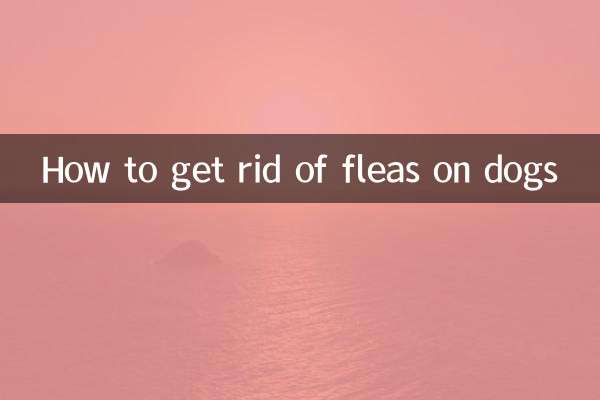 犬のノミを駆除する方法