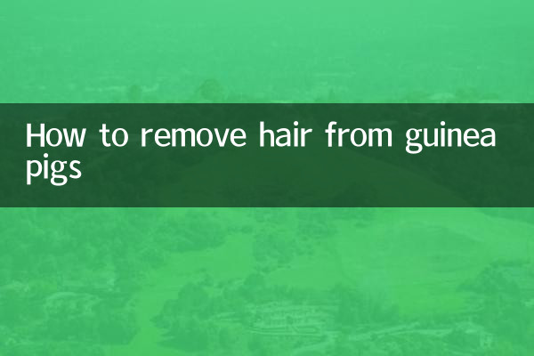 How to remove hair from guinea pigs
