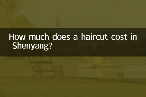 How much does a haircut cost in Shenyang?