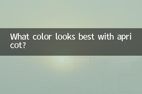 杏色配什麼顏色最好看