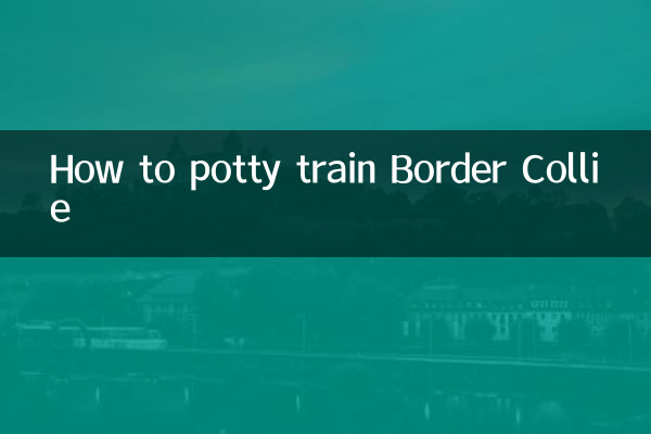 Come addestrare il Border Collie a usare il vasino