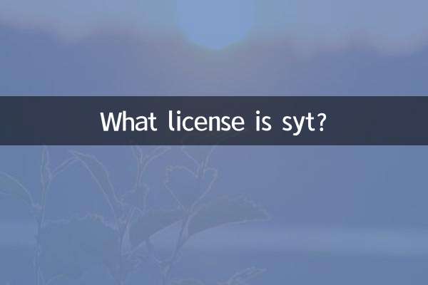 Welche Lizenz ist syt?